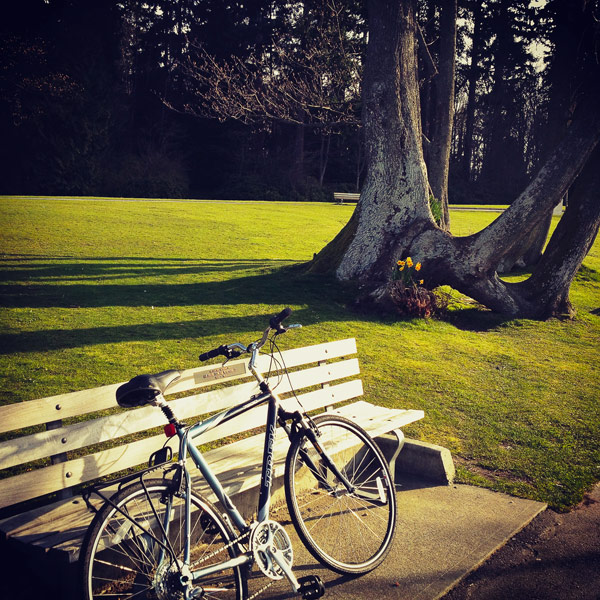 MNVancouverStanleyBench-600px