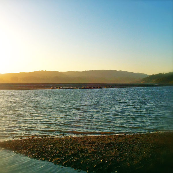 Day Trip to Bolinas, California. Bolinas is a perfect day trip, even half a day is enough to dip into the water and hit the Gospel Flat farm stand...