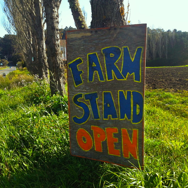 Day Trip to Bolinas, California. Bolinas is a perfect day trip, even half a day is enough to dip into the water and hit the Gospel Flat farm stand...