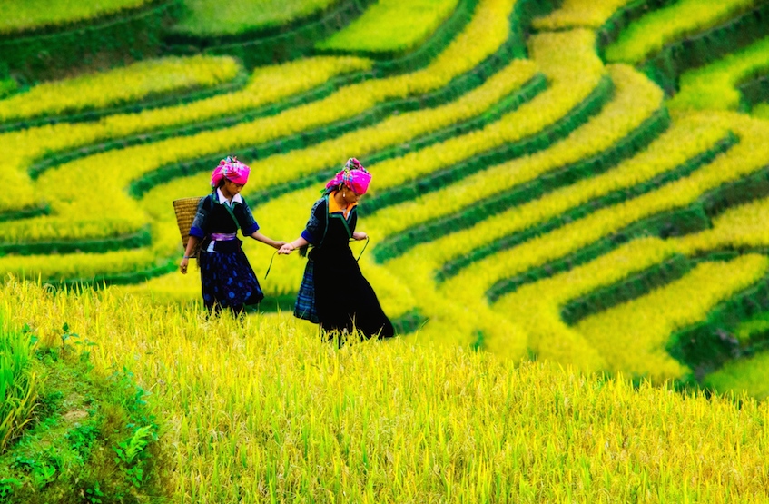 Saffron Interview Sapa, Vietnam by Cristal Tran 847px