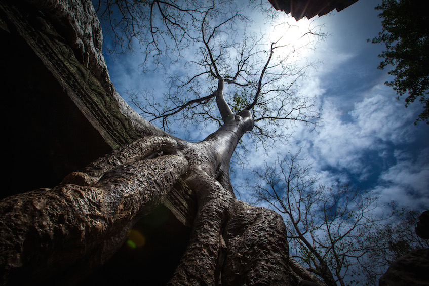 Saffron Interview Wat Ta Prohm Cambodia by EMILY VAN TASSEL 847px