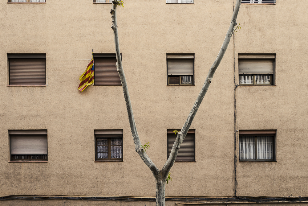 Catalonia's flag on a window.