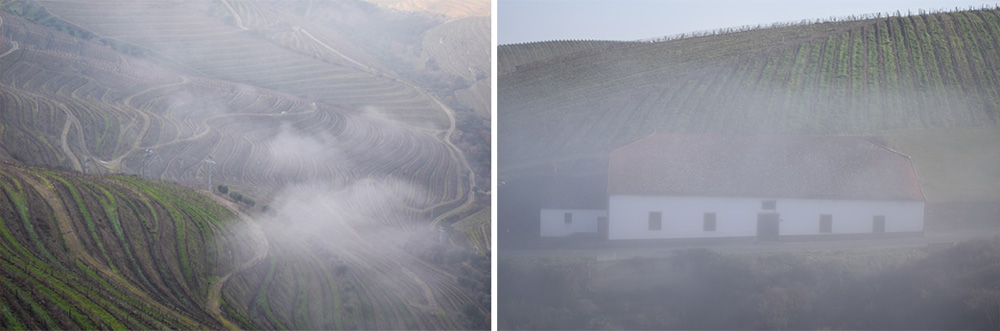 Douro-Valley-Collage-B-1000px