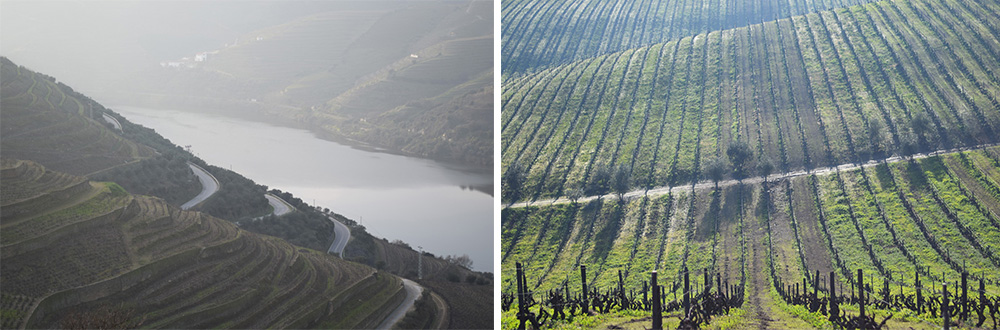 Douro-Valley-Collage-C-1000px