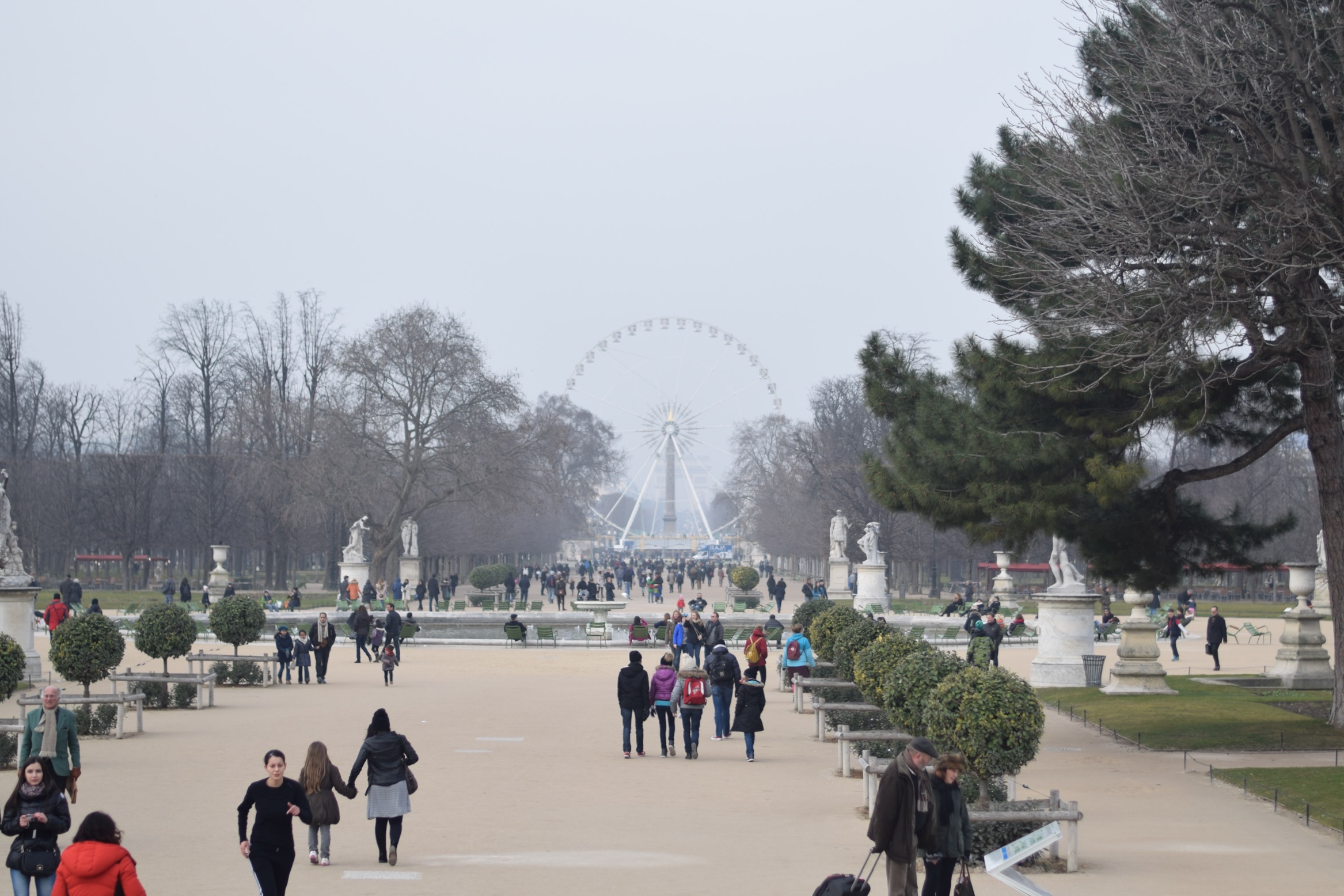 Ferris wheel across the Tuileries in Paris.