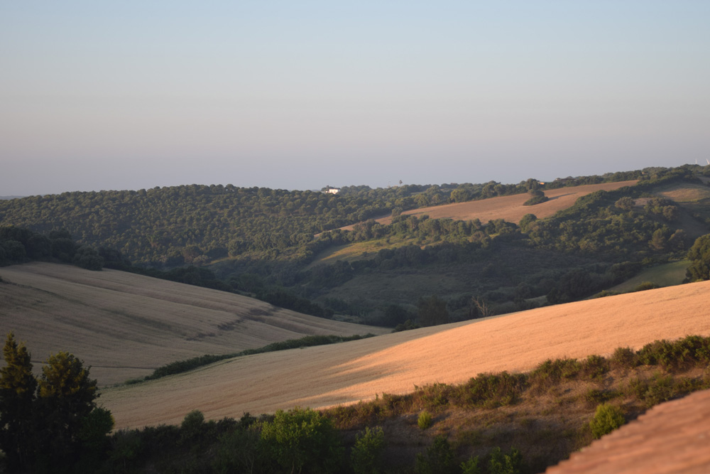 Image of the countryside surrounding Vejer de la Frontera Spain