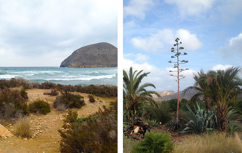 Travel photos of Cabo de Gata Spain's desert fauna and Mediterranean waters