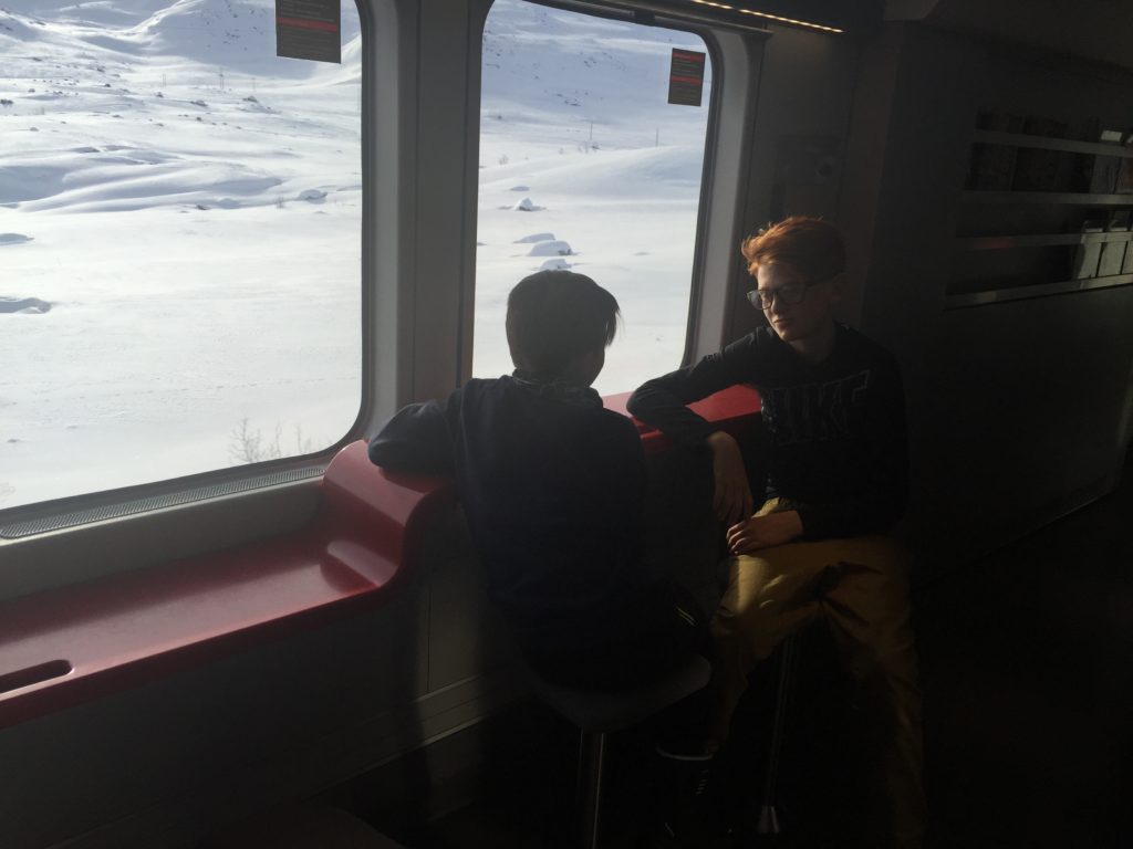 Two boys traveling by train between Oslo and Myrdal in Norway.