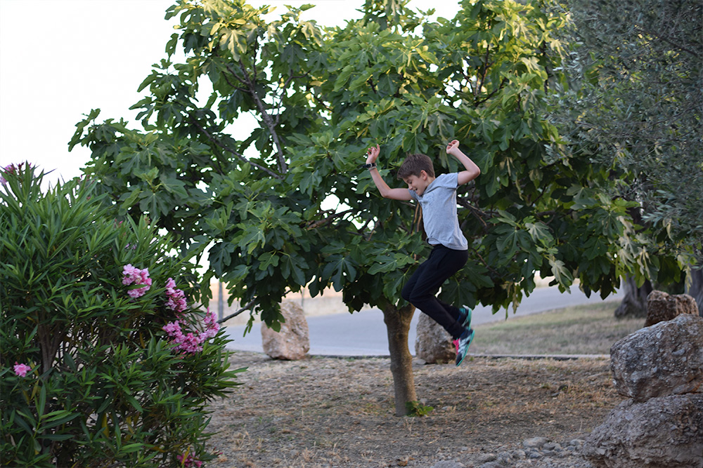 Photo of a boy jumping off rocks in a garden in Mallorca Spain