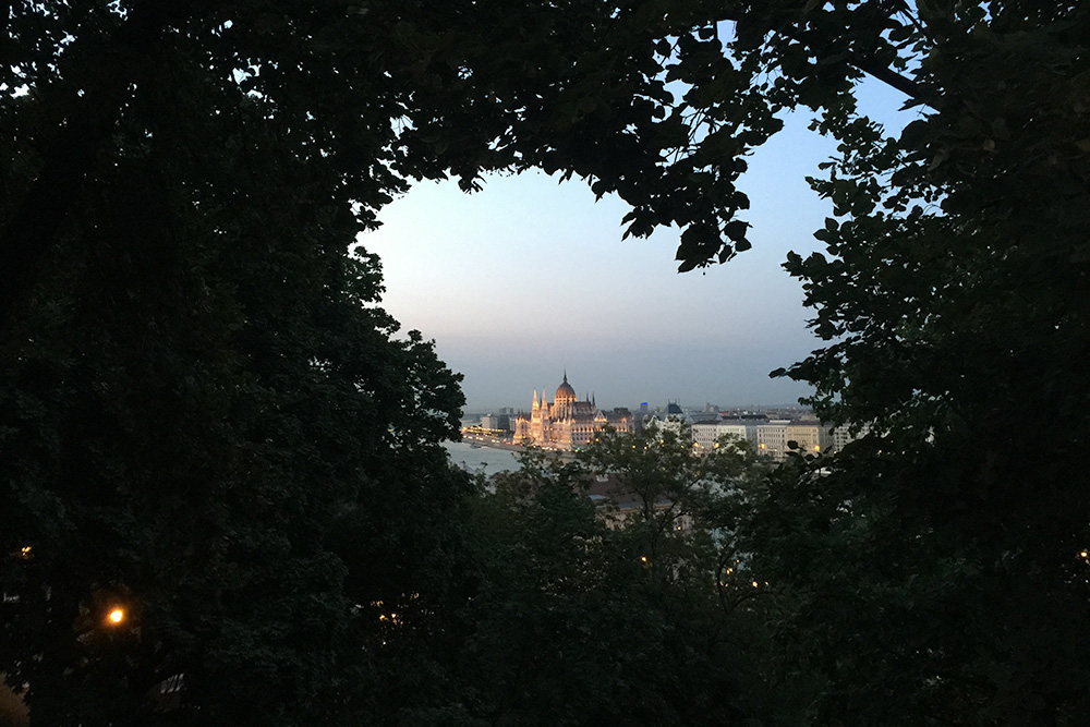 Photo of Budapest Hungary at night taken through the trees near the Royal Palace.