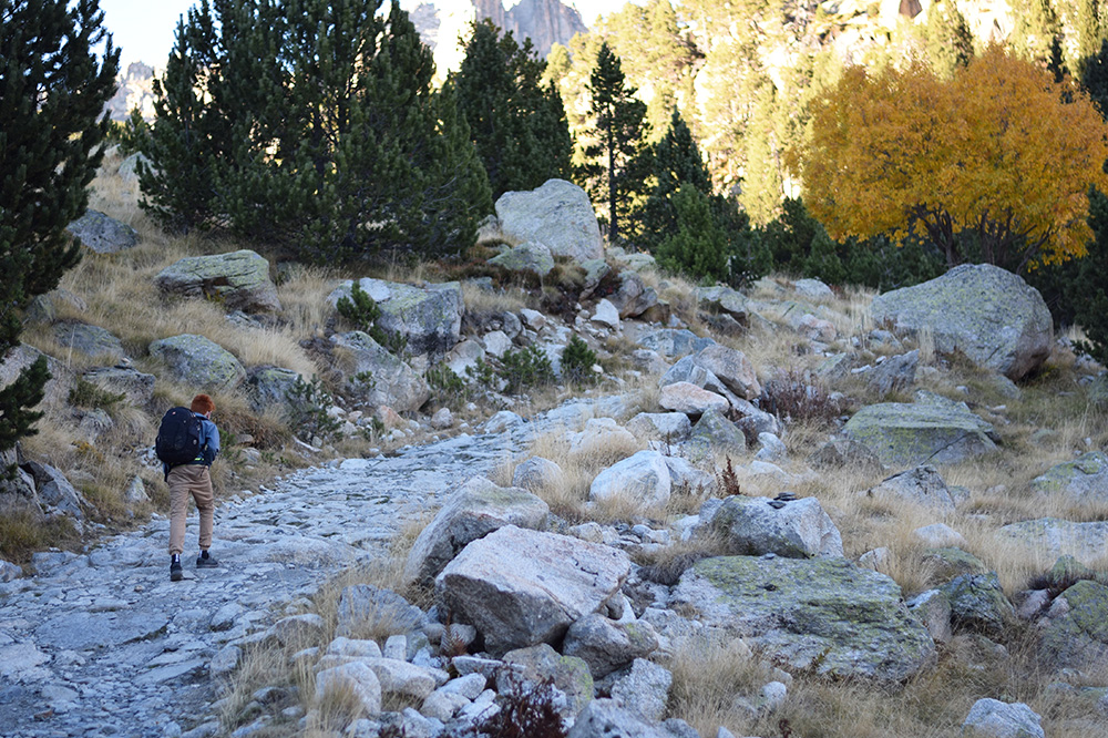 Photo of yellow autumn leaves and a boy walking up a stone path in the Pyrenees of Spain.