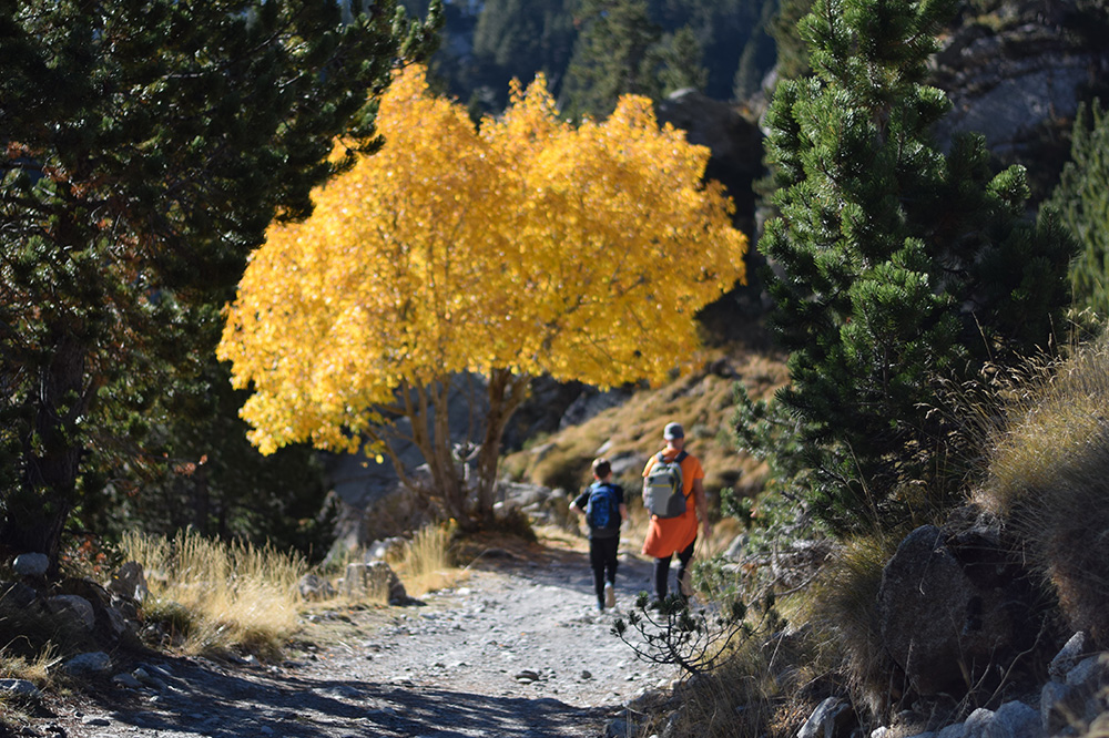 Photo of a boy and his father walking together along a stone path in the Pyrenees near Refugi D'Amitges.