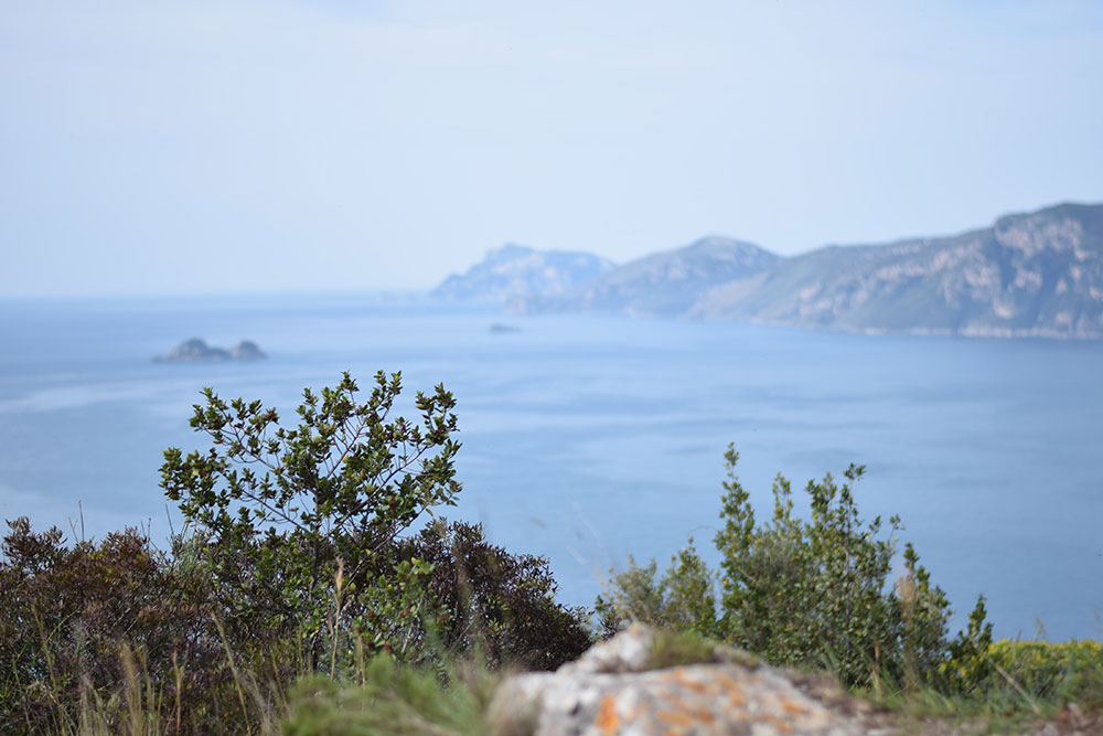 Photo of the Amalfi Coastline from a hiking trail called The Path of the Gods.