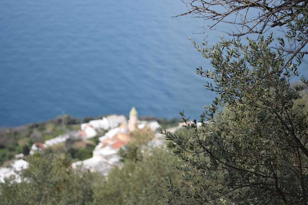 Photo taken from a hiking trail on the Amalfi Coast called The Path of the Gods.