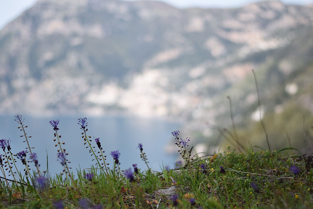 Photo of a hiking trail above the Amalfi Coast called "The Path of the Gods"