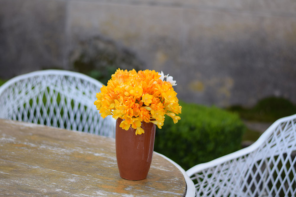 Bright yellow orange flowers in a vase on a garden table at Finca Son Mico in Mallorca, Spain.