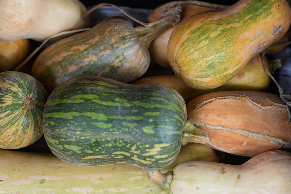 Photograph of a selection of beautiful green, yellow and orange squash at the Santa Maria market in Mallorca, Spain.