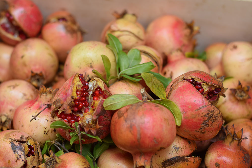 Photograph of ripe pomegranates with seeds bursting out at the Santa Maria market in Mallorca, Spain.