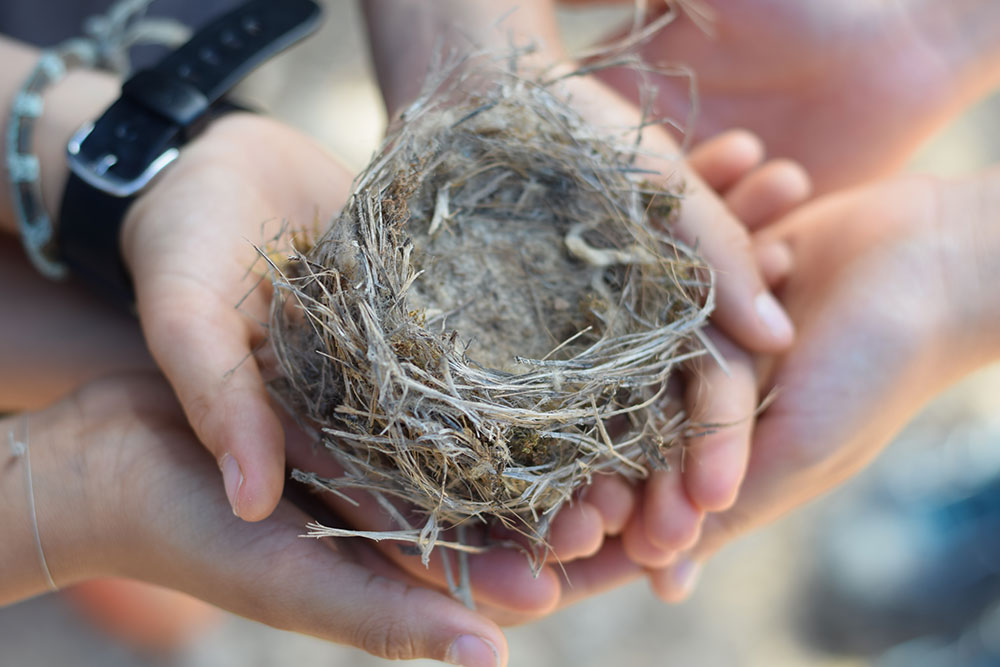 Childrens hands cupping a small bird's nest that they found while walking on the trail to Finca Son Mico in Mallorca, Spain.