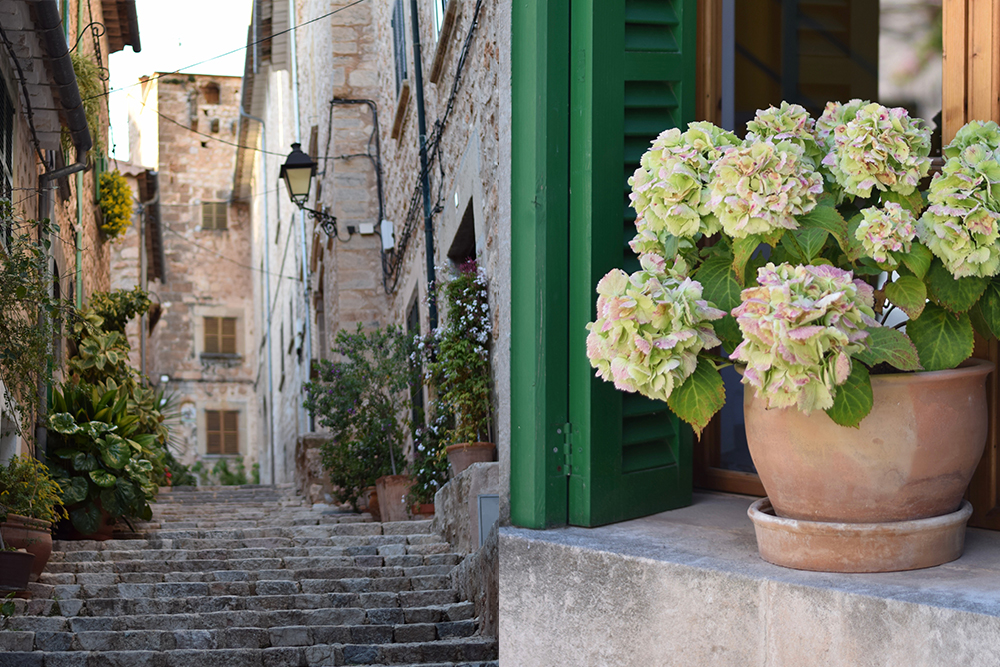 A photo of a village in Mallorca, Spain with a flowerpot of green and pink hydrangeas in the windowsill