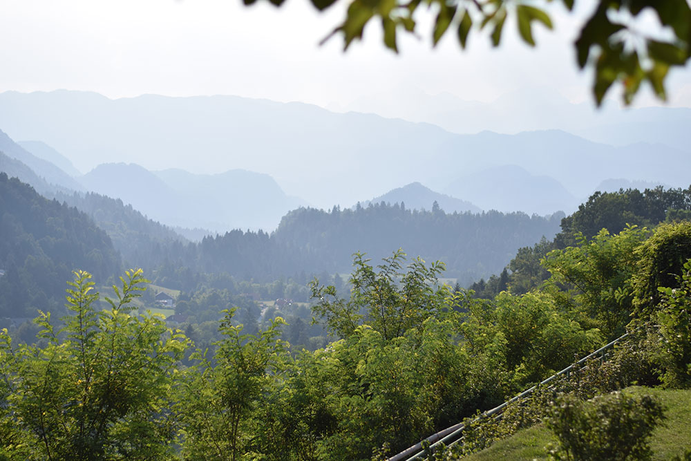 Photo of the landscape in Radovljica, Slovenia showing trees in the foreground and mountains in the distance.