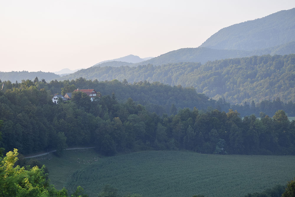 Photo of the landscape in Radovljica, Slovenia showing a field, trees, mountains and a house.