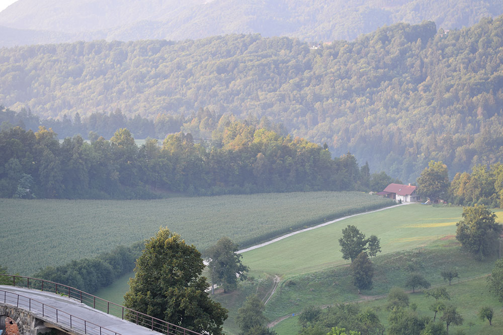 Photo of the landscape in Radovljica, Slovenia showing trees, a field, a bridge and a path to a farmhouse