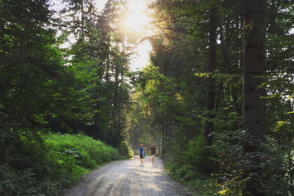 Photo of three boys walking along a country road in the trees in Radovljica, Slovenia.